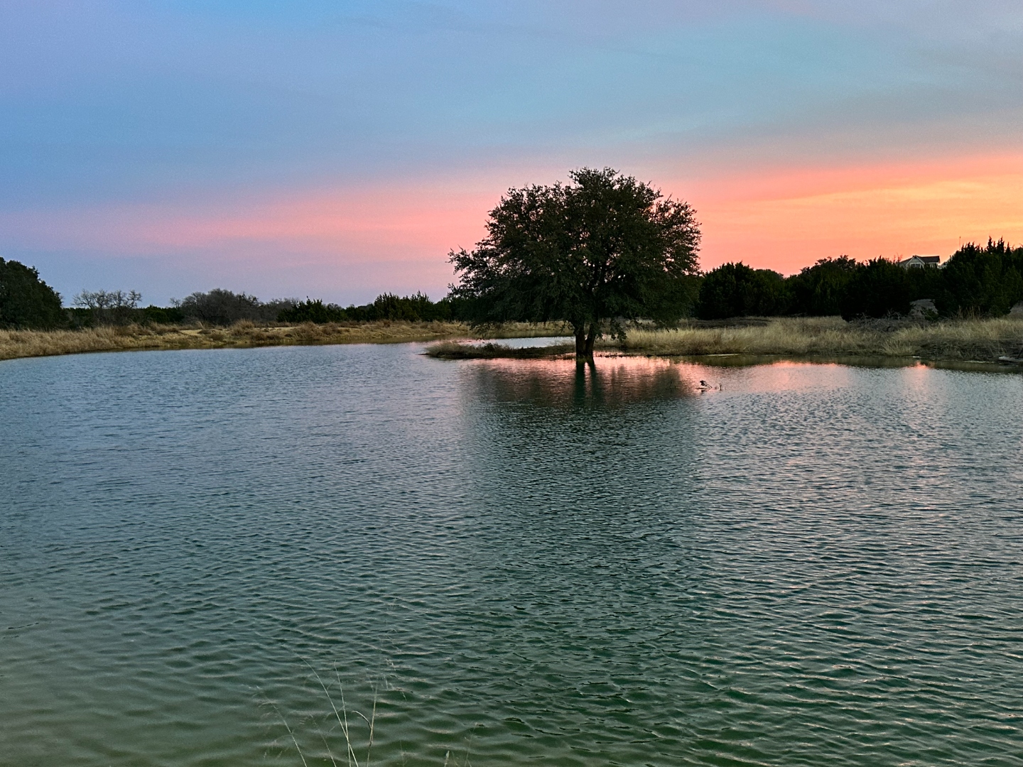 Peaceful pond on 50 acres at Countryside Haven
